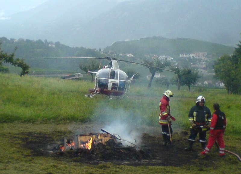 Saviese-05.JPG